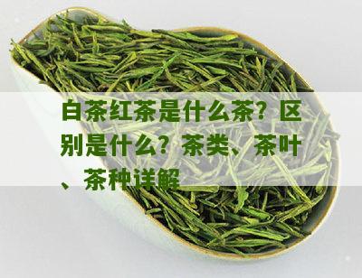 白茶红茶是什么茶？区别是什么？茶类、茶叶、茶种详解