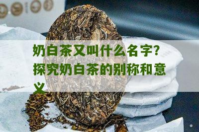 奶白茶又叫什么名字？探究奶白茶的别称和意义