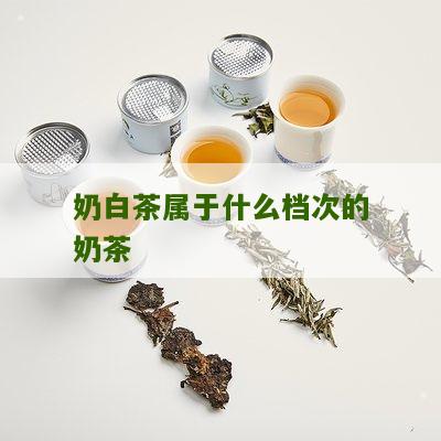 奶白茶属于什么档次的奶茶