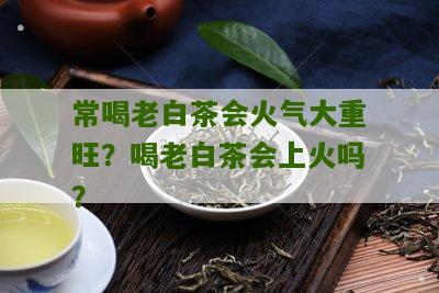 常喝老白茶会火气大重旺？喝老白茶会上火吗？