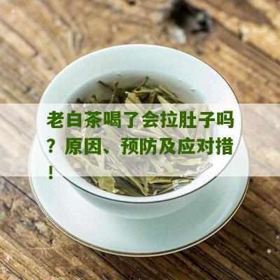 老白茶喝了会拉肚子吗？原因、预防及应对措！