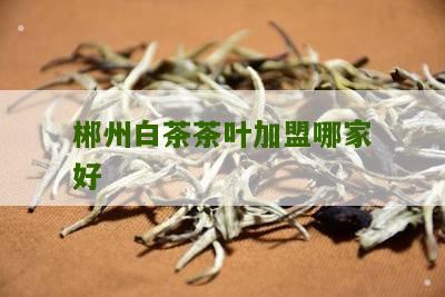 郴州白茶茶叶加盟哪家好