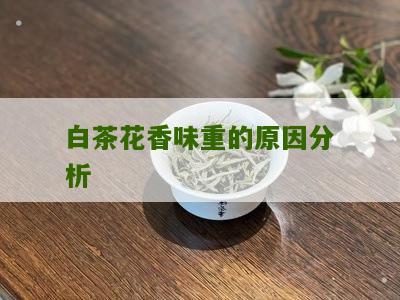 白茶花香味重的原因分析