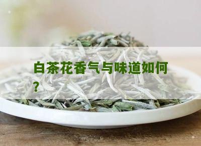 白茶花香气与味道如何？