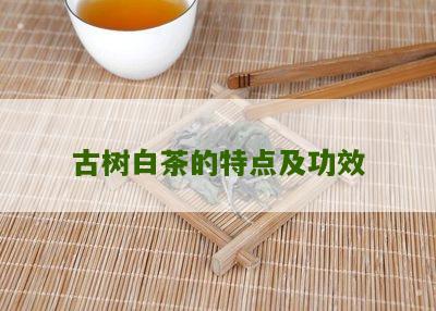 古树白茶的特点及功效