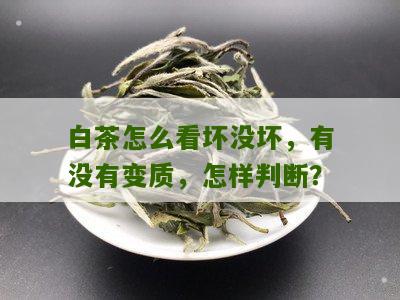 白茶怎么看坏没坏，有没有变质，怎样判断？