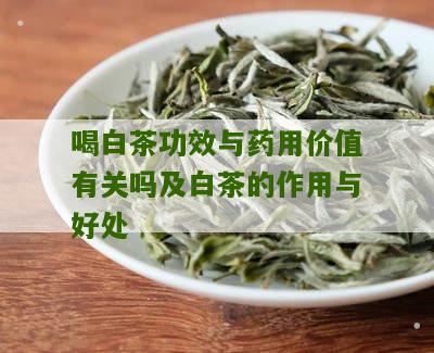 喝白茶功效与药用价值有关吗及白茶的作用与好处