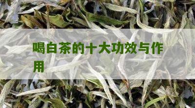 喝白茶的十大功效与作用