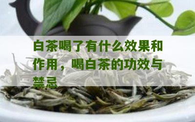 白茶喝了有什么效果和作用，喝白茶的功效与禁忌