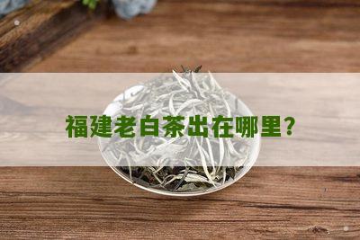 福建老白茶出在哪里？