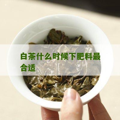 白茶什么时候下肥料最合适