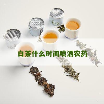 白茶什么时间喷洒农药