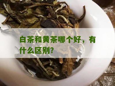 白茶和黄茶哪个好，有什么区别？