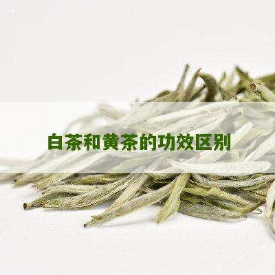 白茶和黄茶的功效区别