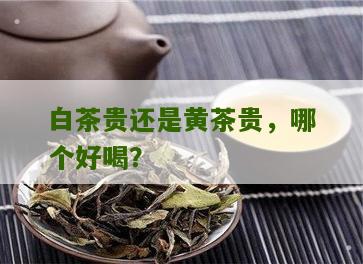 白茶贵还是黄茶贵，哪个好喝？