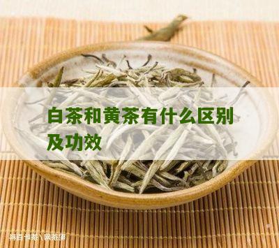 白茶和黄茶有什么区别及功效