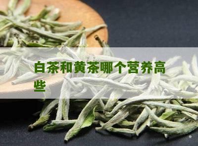 白茶和黄茶哪个营养高些