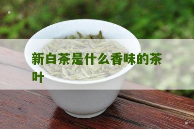 新白茶是什么香味的茶叶