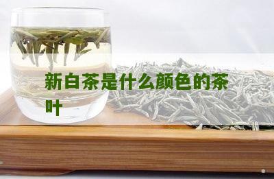 新白茶是什么颜色的茶叶