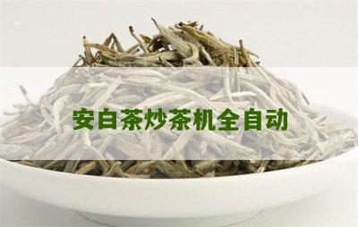 安白茶炒茶机全自动