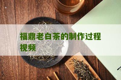 福鼎老白茶的制作过程视频