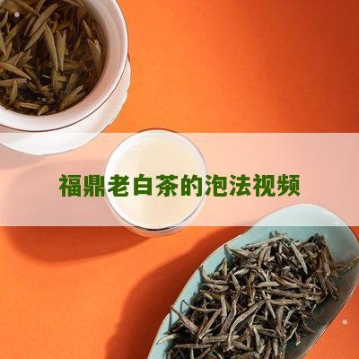 福鼎老白茶的泡法视频