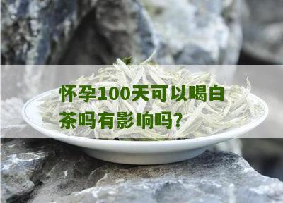 怀孕100天可以喝白茶吗有影响吗？