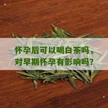 怀孕后可以喝白茶吗，对早期怀孕有影响吗？