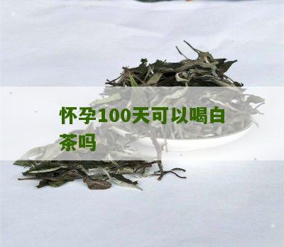 怀孕100天可以喝白茶吗