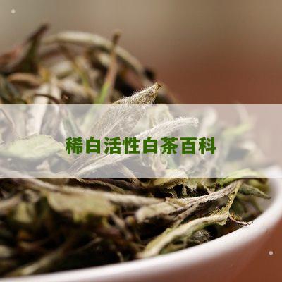 稀白活性白茶百科