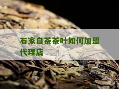 石家白茶茶叶如何加盟代理店