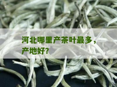 河北哪里产茶叶最多，产地好？