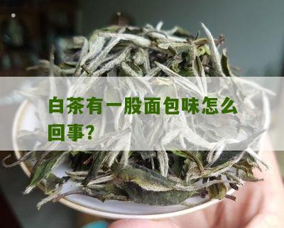 白茶有一股面包味怎么回事？