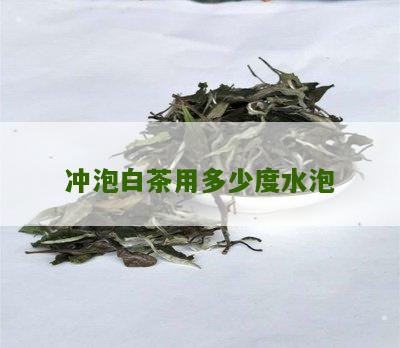 冲泡白茶用多少度水泡