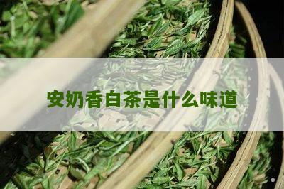 安奶香白茶是什么味道