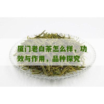 厦门老白茶怎么样，功效与作用，品种探究