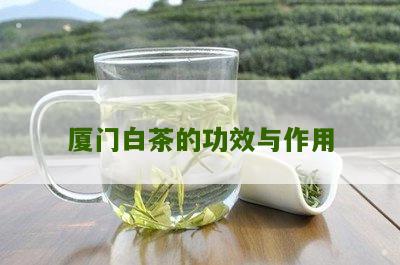 厦门白茶的功效与作用