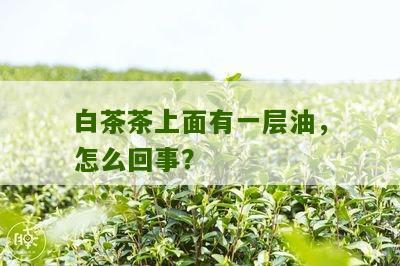 白茶茶上面有一层油，怎么回事？