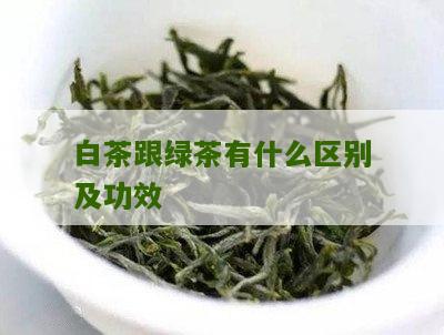 白茶跟绿茶有什么区别及功效