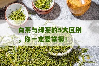 白茶与绿茶的5大区别，你一定要掌握！