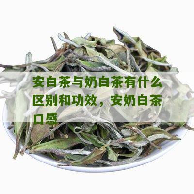 安白茶与奶白茶有什么区别和功效，安奶白茶口感