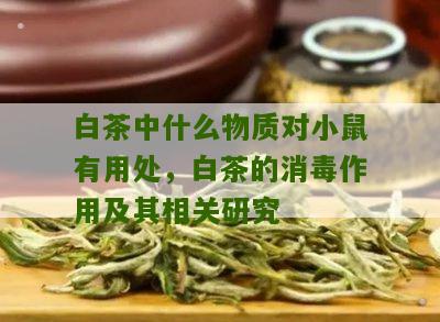 白茶中什么物质对小鼠有用处，白茶的消毒作用及其相关研究