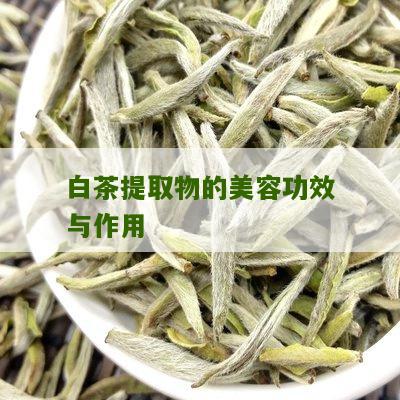 白茶提取物的美容功效与作用