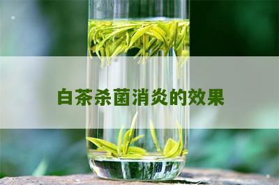 白茶杀菌消炎的效果