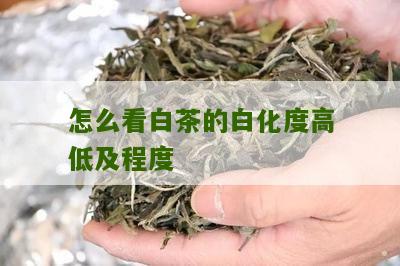 怎么看白茶的白化度高低及程度