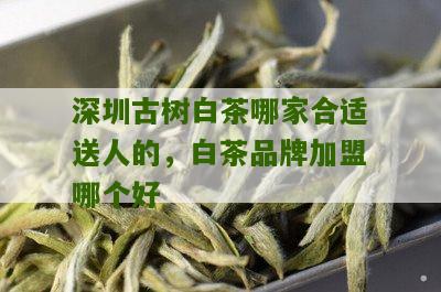 深圳古树白茶哪家合适送人的，白茶品牌加盟哪个好