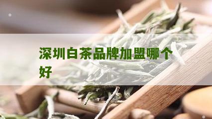 深圳白茶品牌加盟哪个好