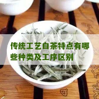 传统工艺白茶特点有哪些种类及工序区别