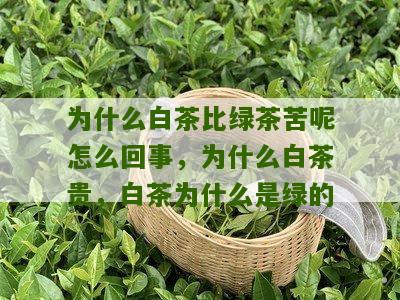 为什么白茶比绿茶苦呢怎么回事，为什么白茶贵，白茶为什么是绿的