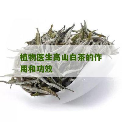 植物医生高山白茶的作用和功效